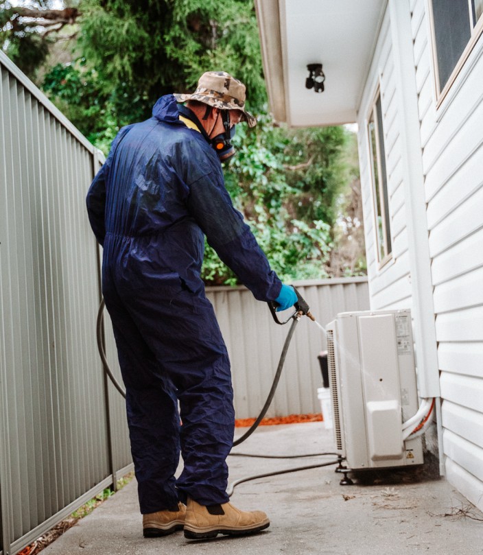 cockroach infestation