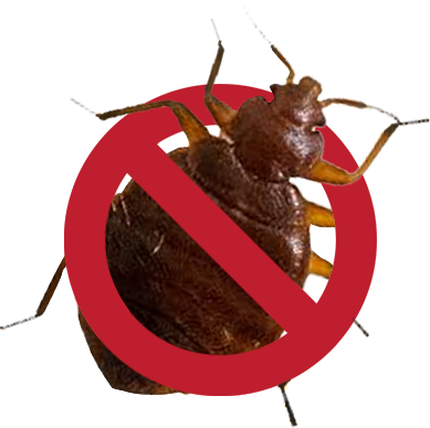 No-bedbugs