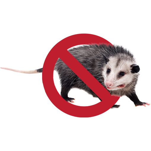 No-Possum