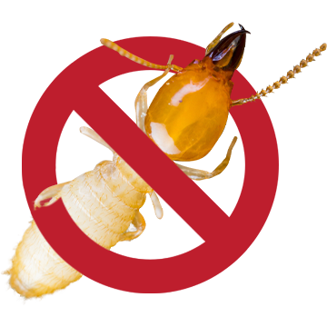 Termite control sydney