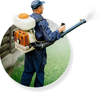 Pest Control Importance