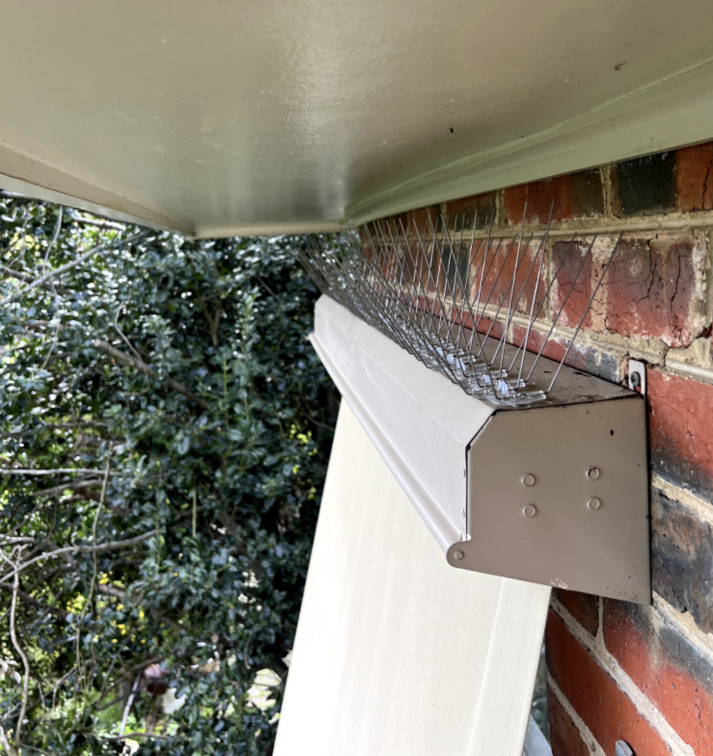 Stainless steel bird spikes fitted in Sydney.